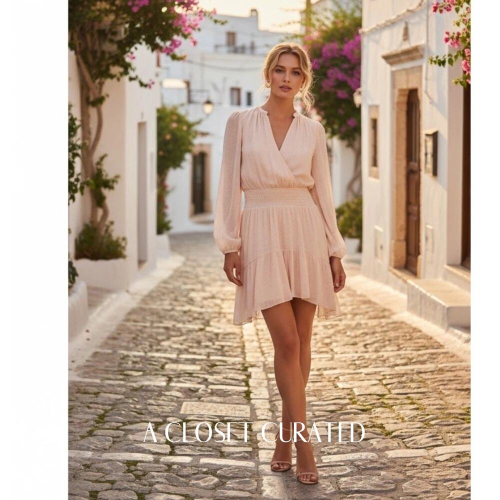 A.L.C Dress 2